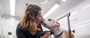Kissing Puppy - Wags on Wheels