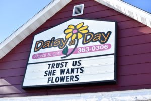 Daisy a Day Floral & Gift