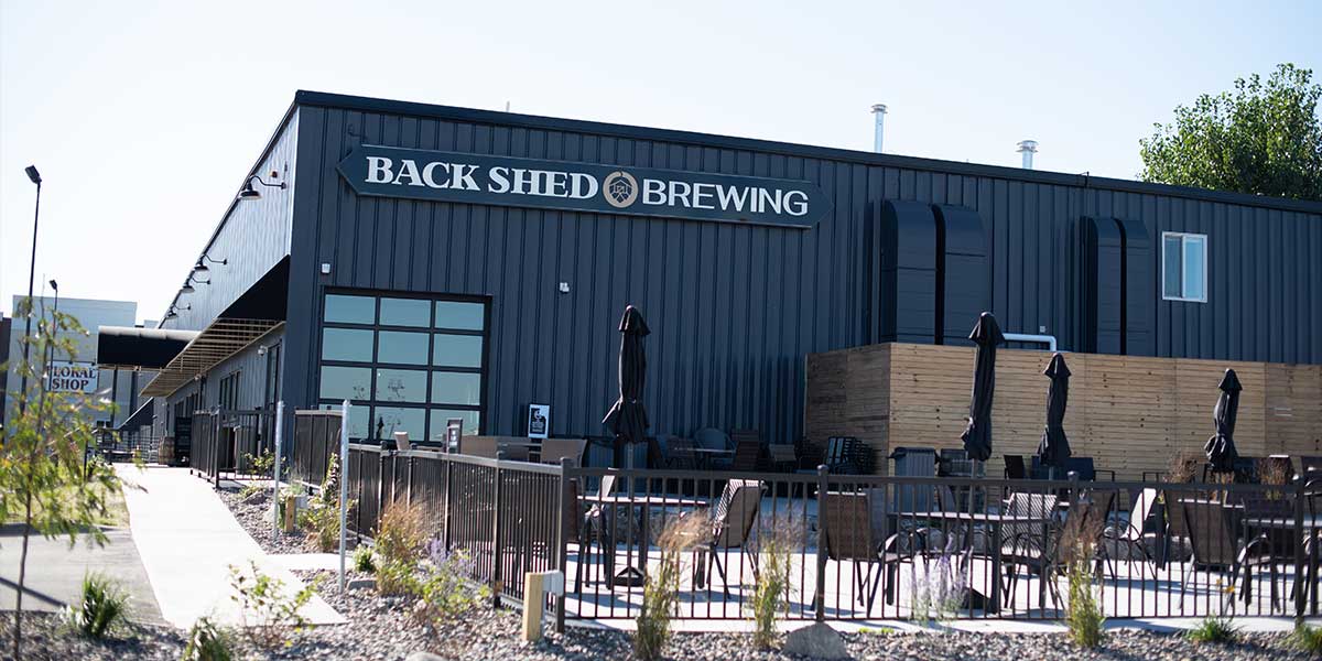 Shines Stories Back Shed Brewing